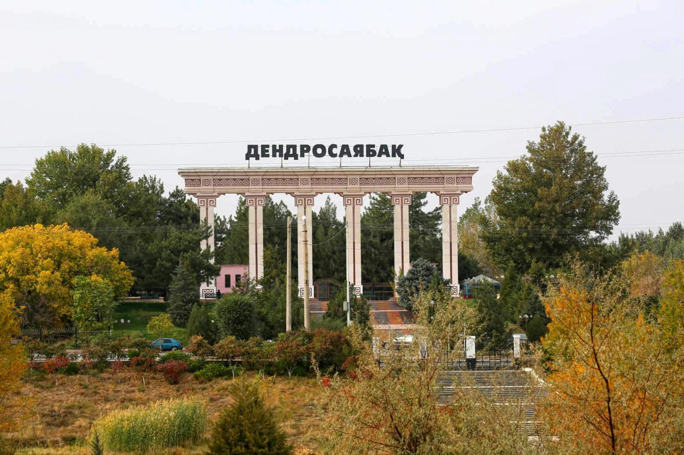 Дендропарк в Шымкенте