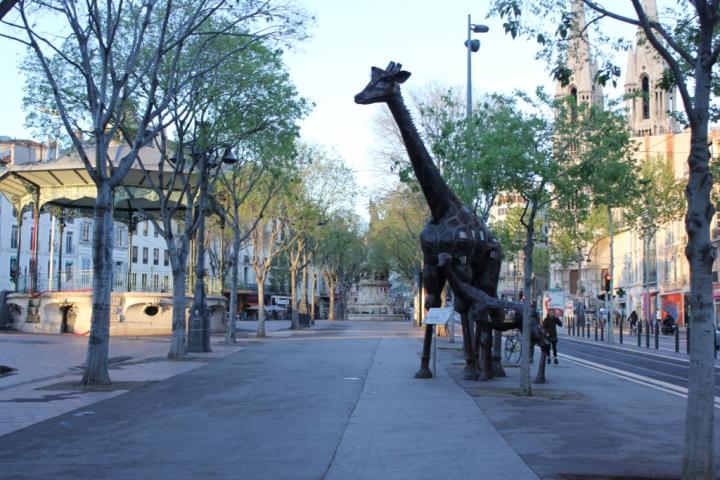 Жирафы в Марселе