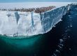 Фото National Geographic