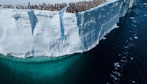 Фото National Geographic