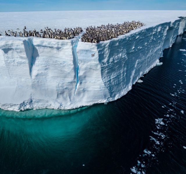 Фото National Geographic